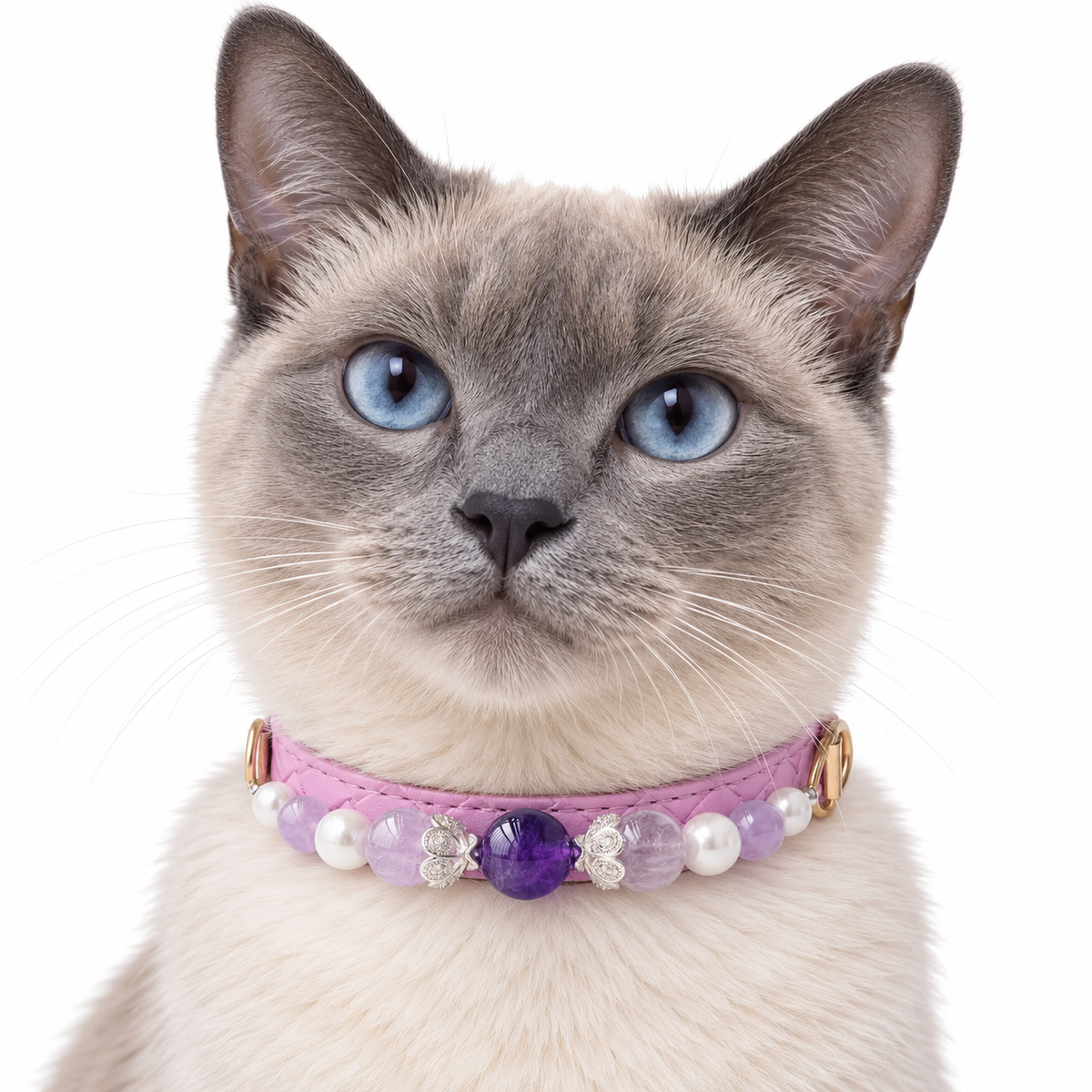 Violet Butterfly Beaded Pet Collar - AI pet wearing styling illustration