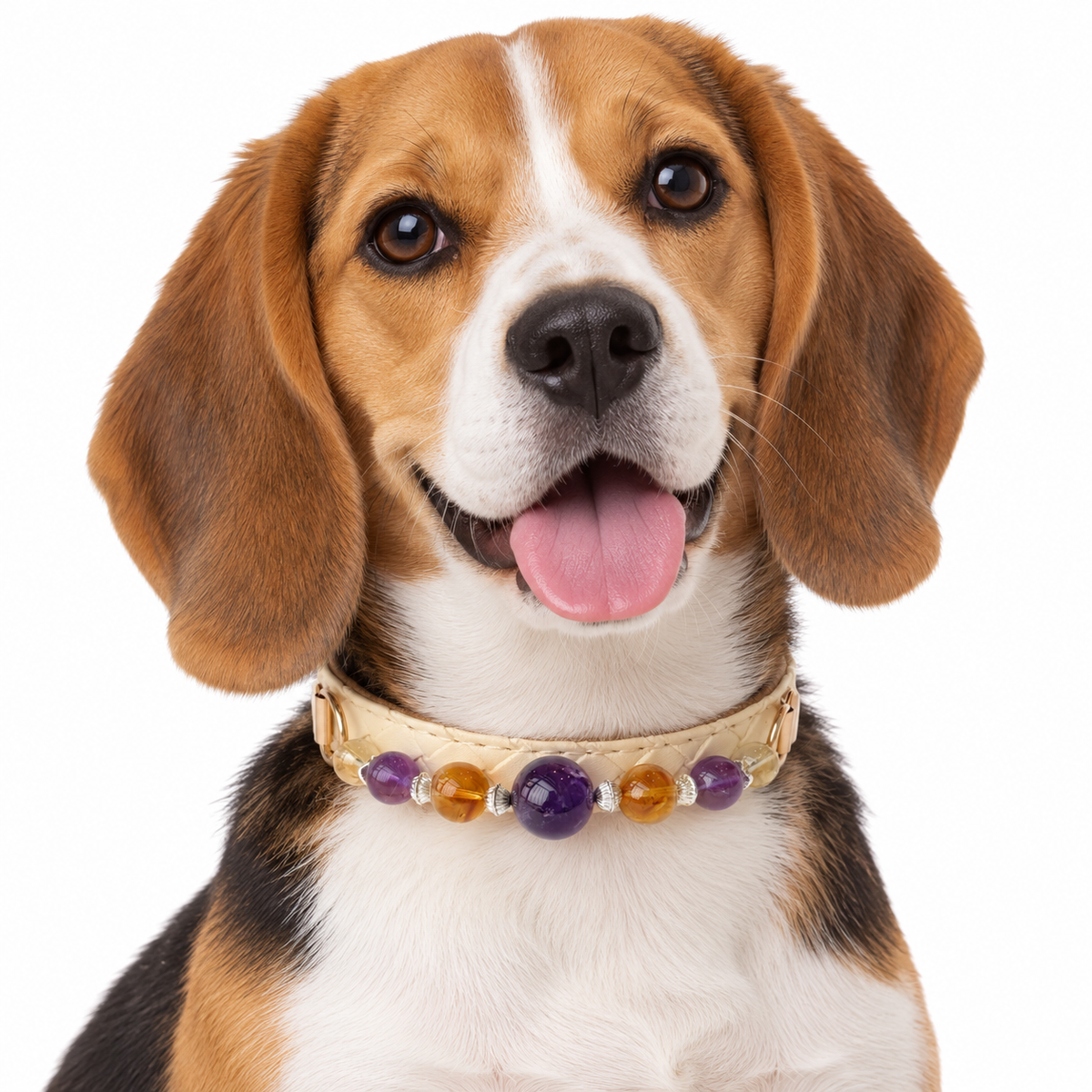 Violet Dawn Beaded Pet Collar - AI pet wearing styling illustration