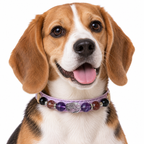 Violet Eclipse Beaded Pet Collar - AI pet wearing styling illustration