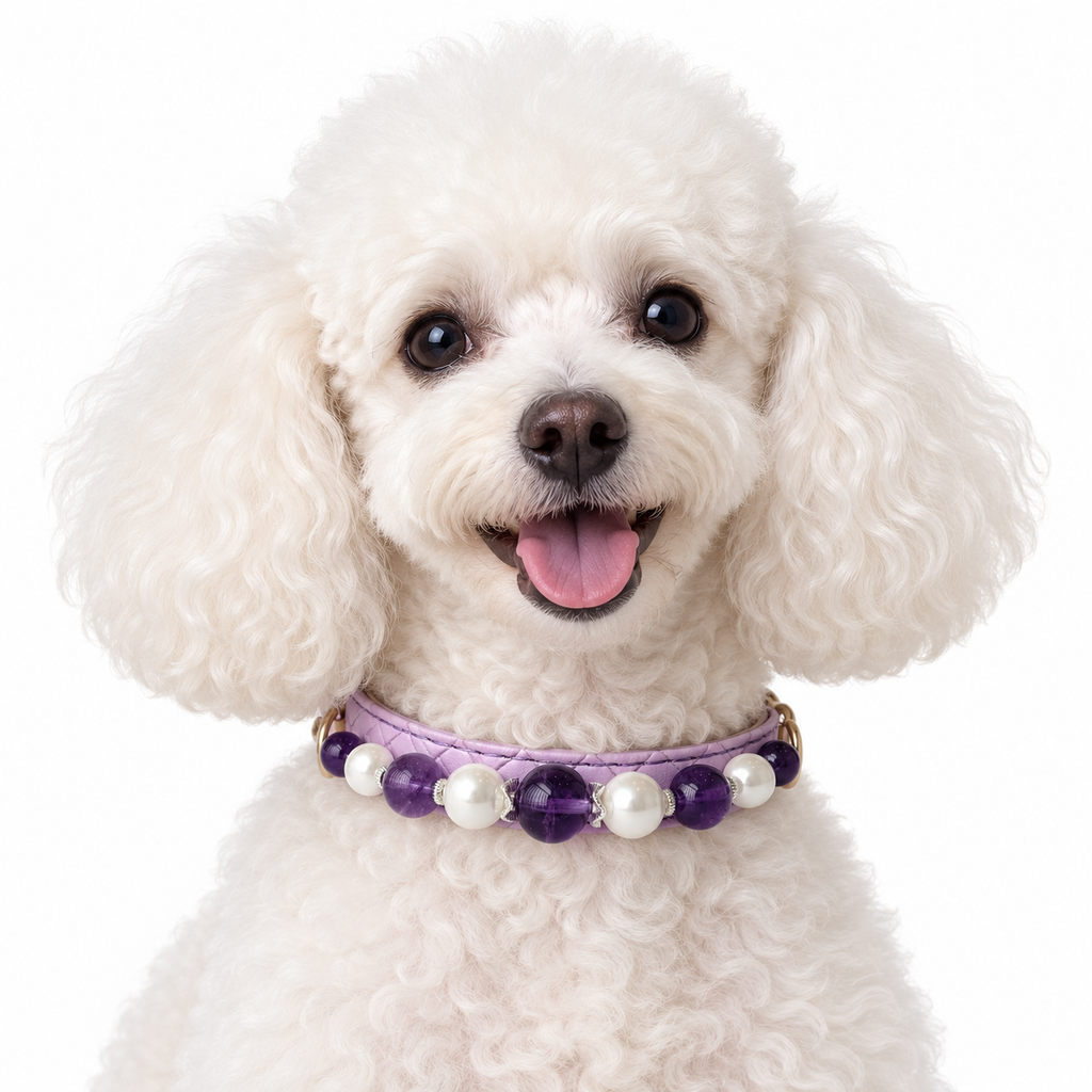 Violet Halo Beaded Pet Collar - AI pet wearing styling illustration