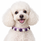 Violet Halo Beaded Pet Collar - AI pet wearing styling illustration
