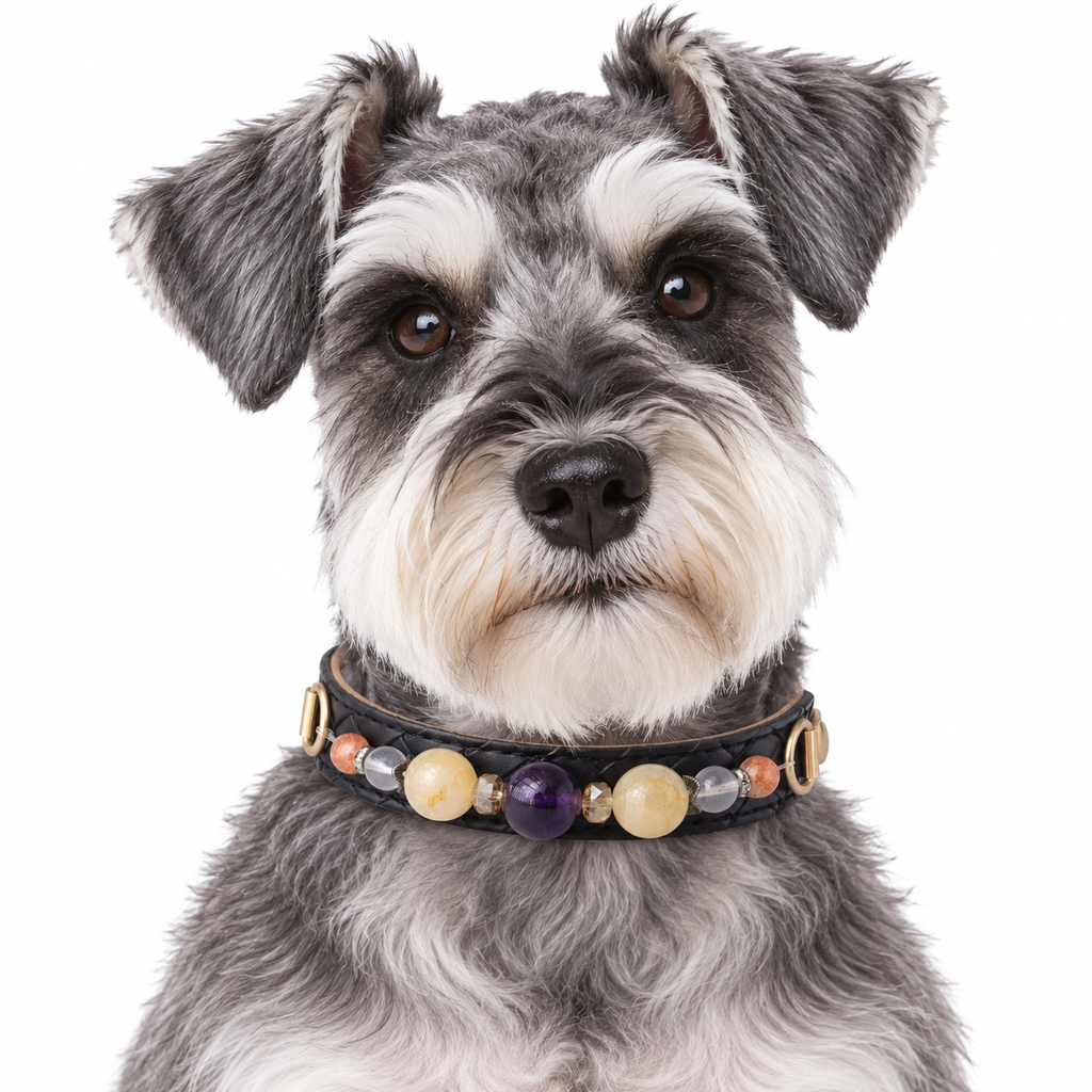 Violet Honey Beaded Pet Collar - AI pet wearing styling illustration
