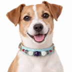 Violet Sky Beaded Pet Collar - AI pet wearing styling illustration