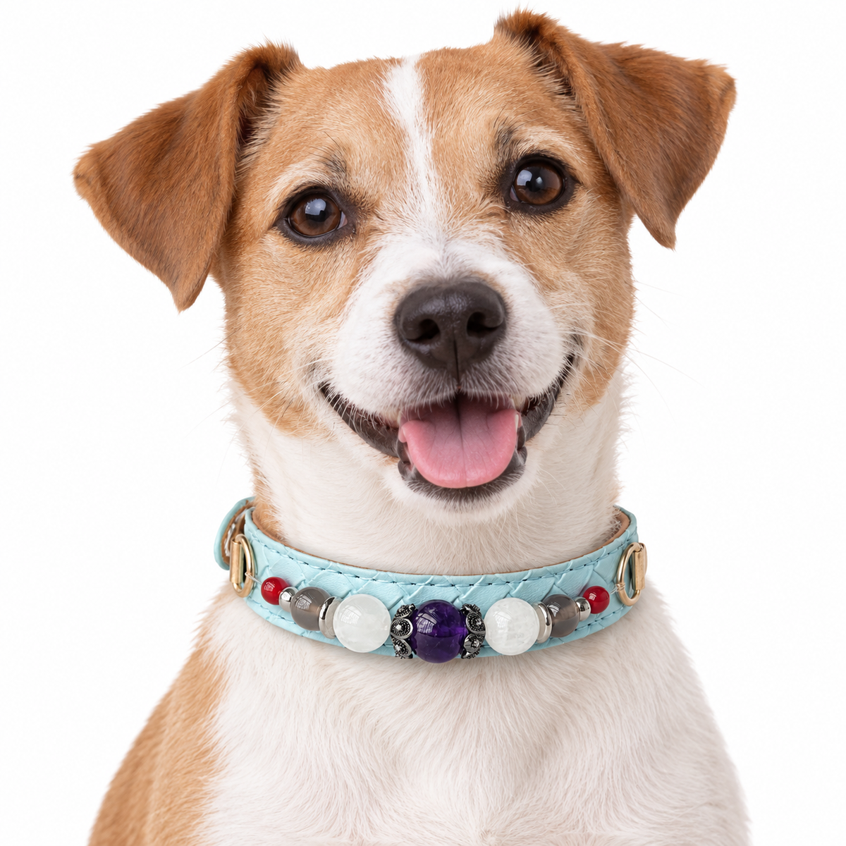 Violet Sky Beaded Pet Collar - AI pet wearing styling illustration