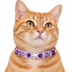 Violet Starfish Beaded Pet Collar - AI pet wearing styling illustration
