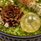 Woodland Abundance Crystal Garden — foreground stones and bowl detail